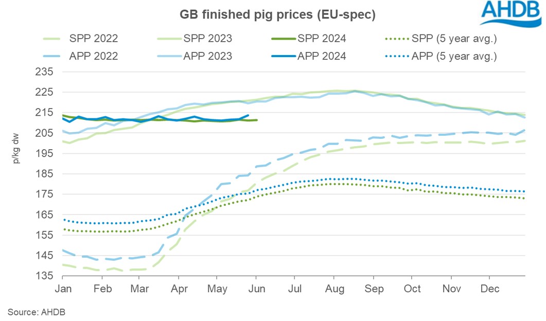 GB pig prices May 2024